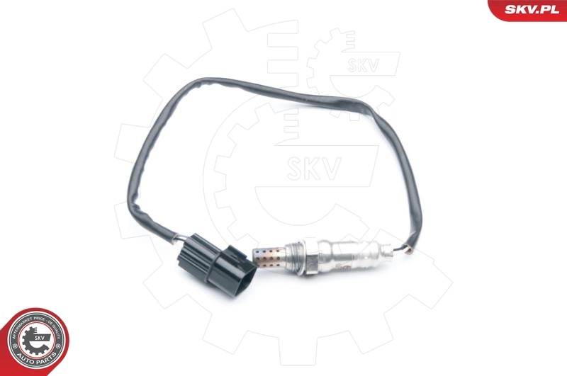 Oxygen Sensor